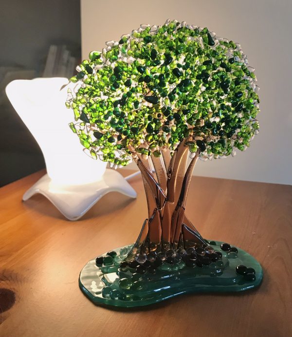 Glass Oak - Image 5
