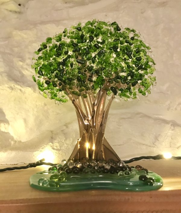 Glass Oak - Image 6