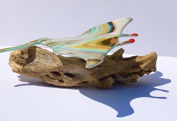 Raif the Ray - Image 3