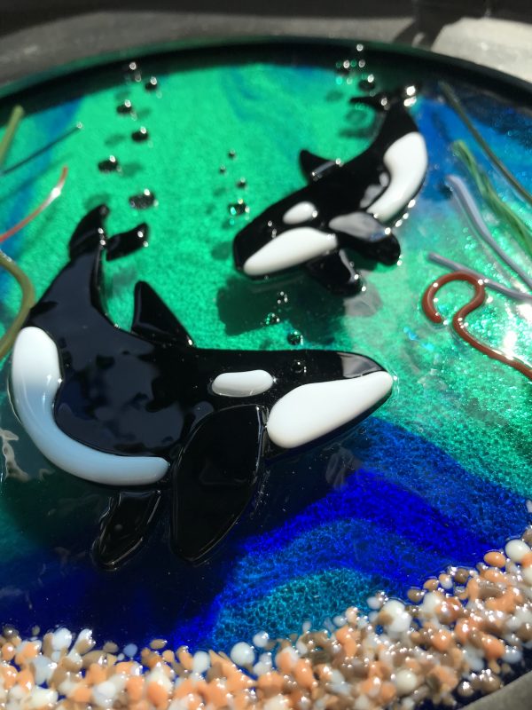 Orcas of the Deep - Image 6