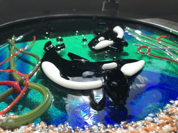 Orcas of the Deep - Image 5