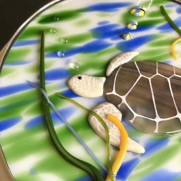 Turtle Porthole - Image 4